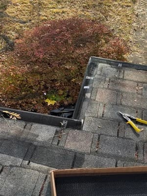 {{ custom_values.service_3 }} in {{custom_values.area_3})