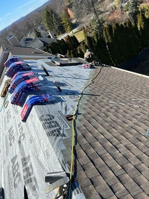 {{ custom_values.service_3 }} in {{custom_values.area_3})