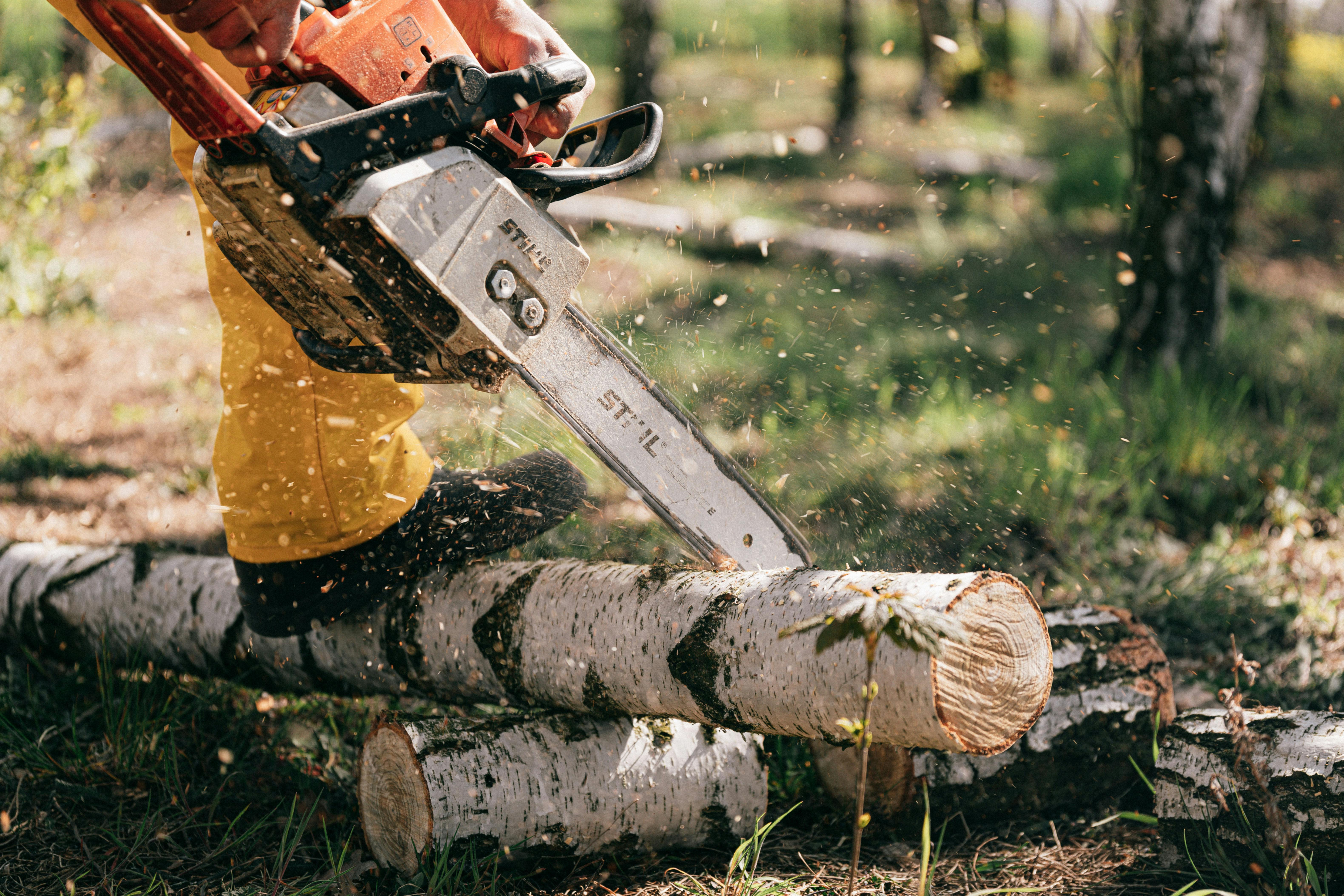 Tree Services