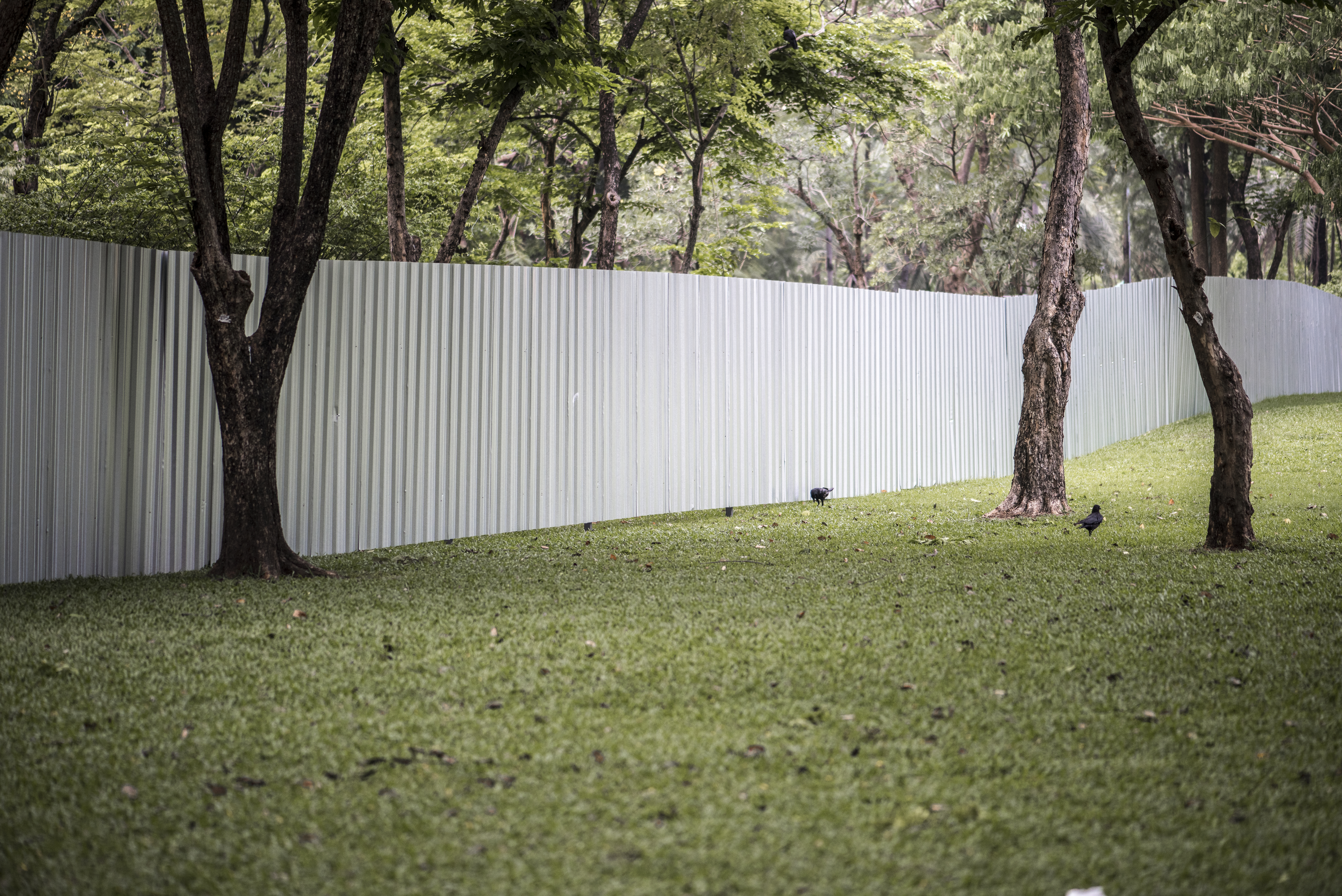 Fencing
