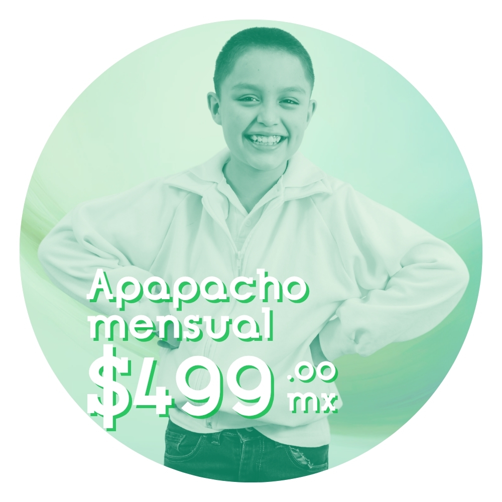<h3>Apapacho Mensual&nbsp;</h3><h3>$499</h3>