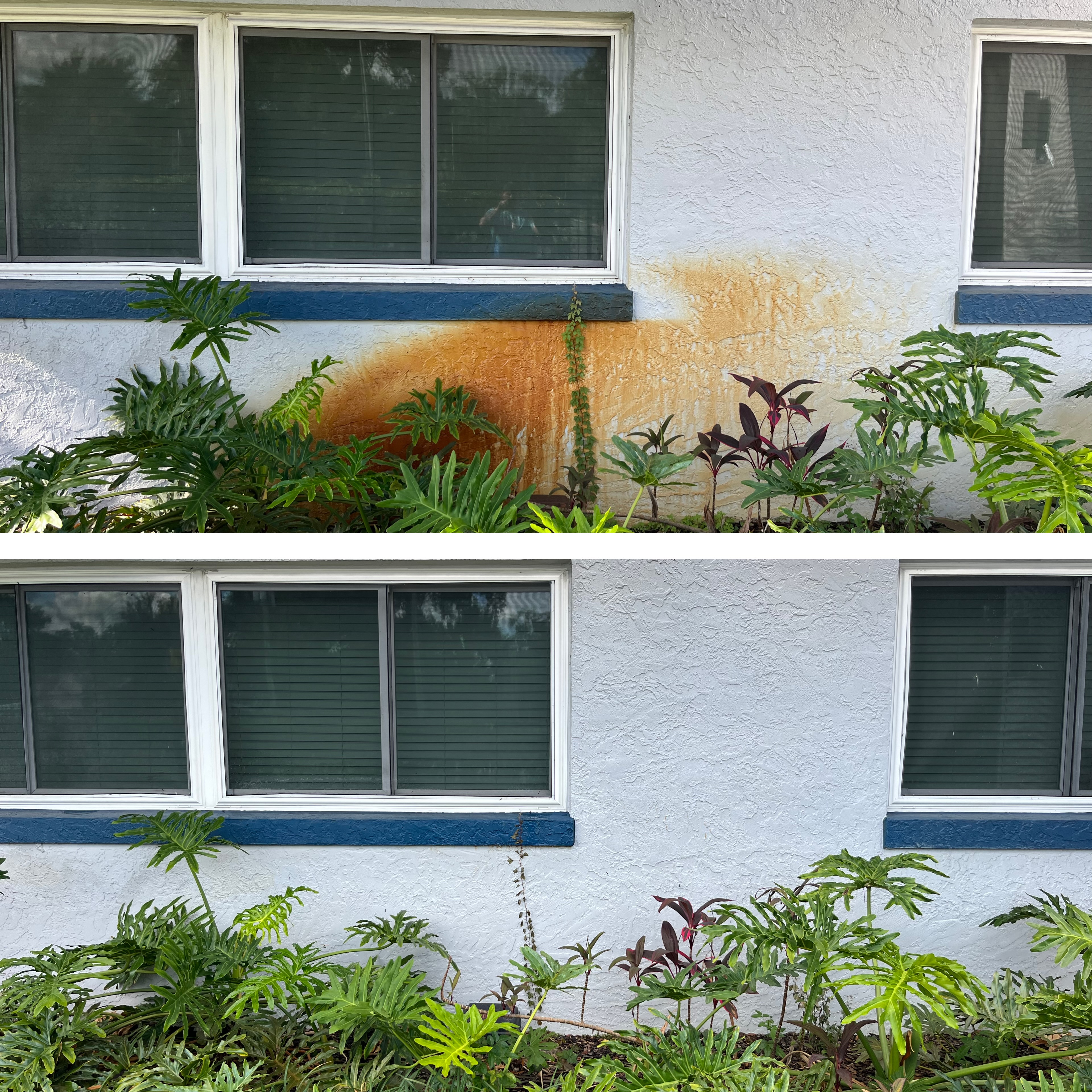 Tampa Wash Bros Pressure Washing - Business Photo