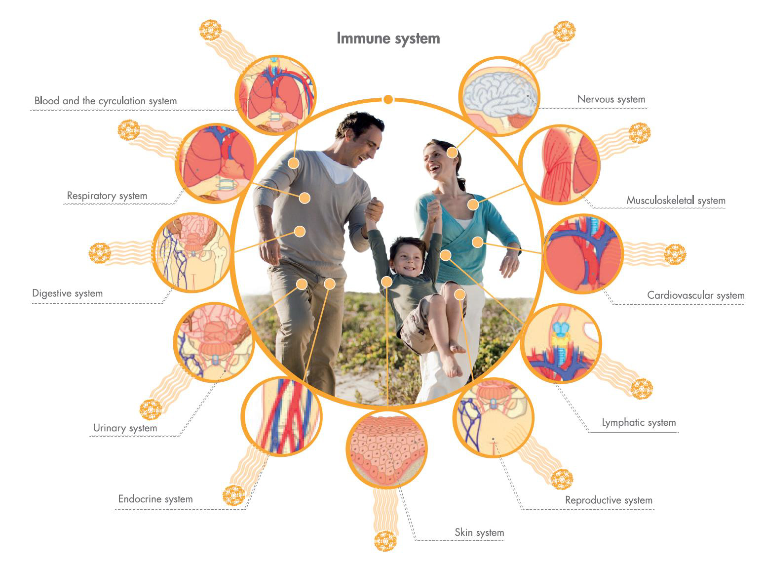 Wellness, Seasonal Depression & Systemic Recovery