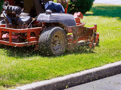 {{ custom_values.service_1 }} in {{custom_values.biz_area_1})