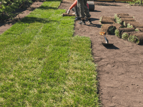 Landscape Design & Installation in Rockland