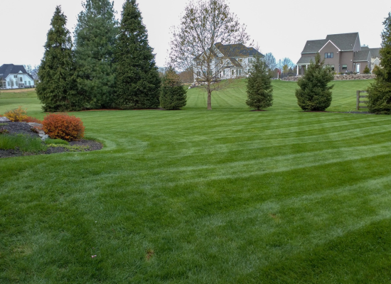 Landscape Design & Installation Rockland