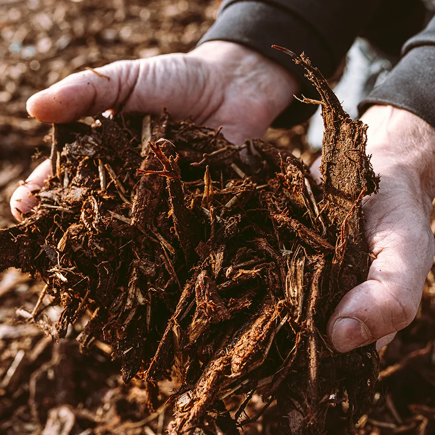 Mulch installation for clean landscape beds