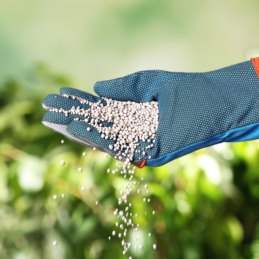 Fertilizer and yard care service for healthy outdoor spaces