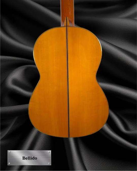 1973 Jose Lopez Bellido back
