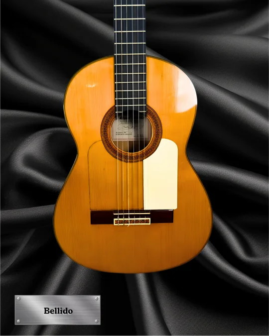 1973 Jose Lopez Bellido front