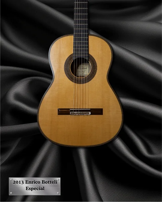 2013 Enrico Bottelli front