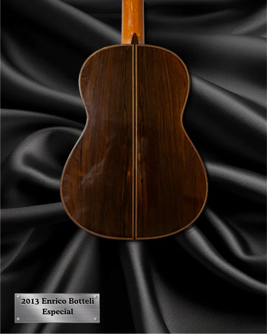 2013 Enrico Bottelli back