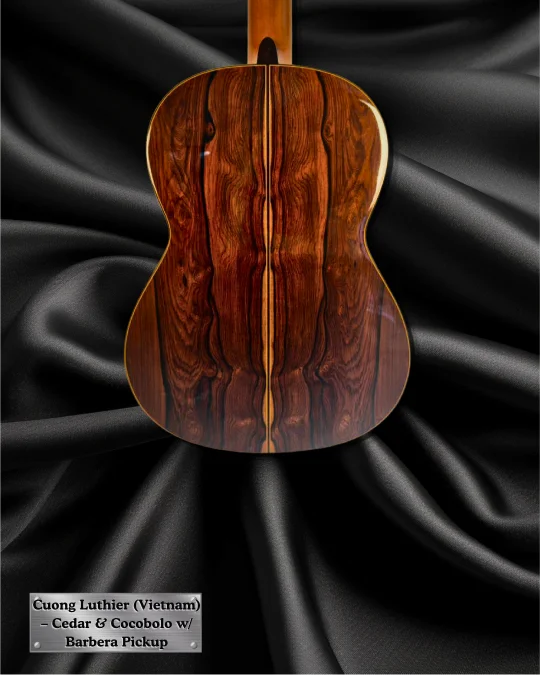2002 Cuong Luthier back