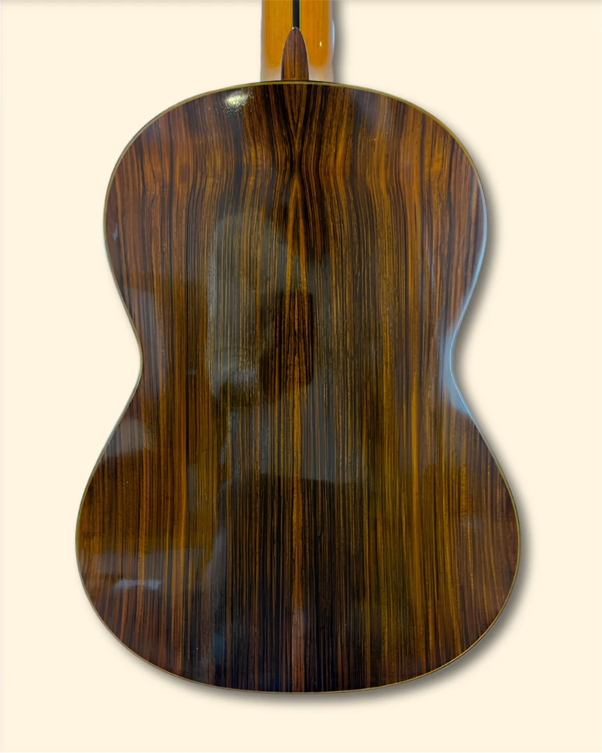 1973 Paulino Bernabe back