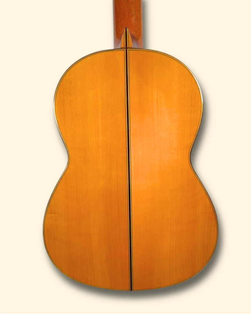 1973 Jose Lopez Bellido back