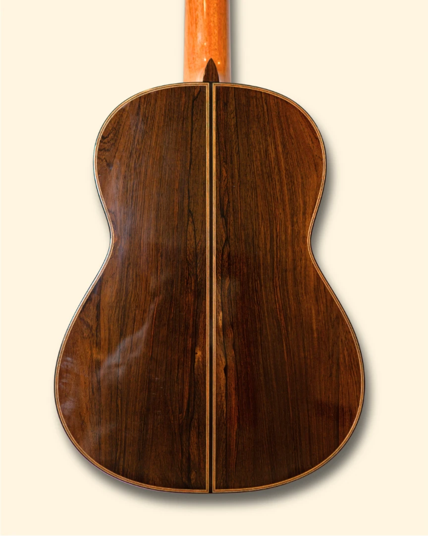 2013 Enrico Bottelli back
