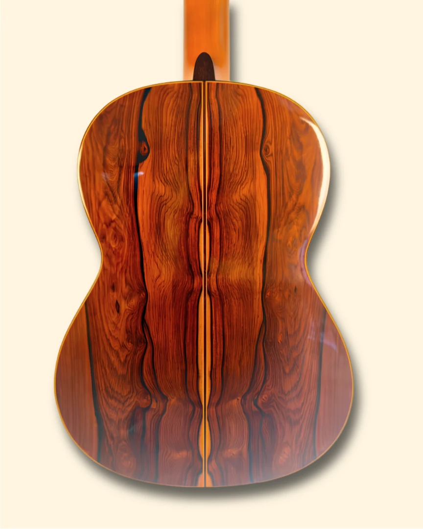 2008 Cuong back