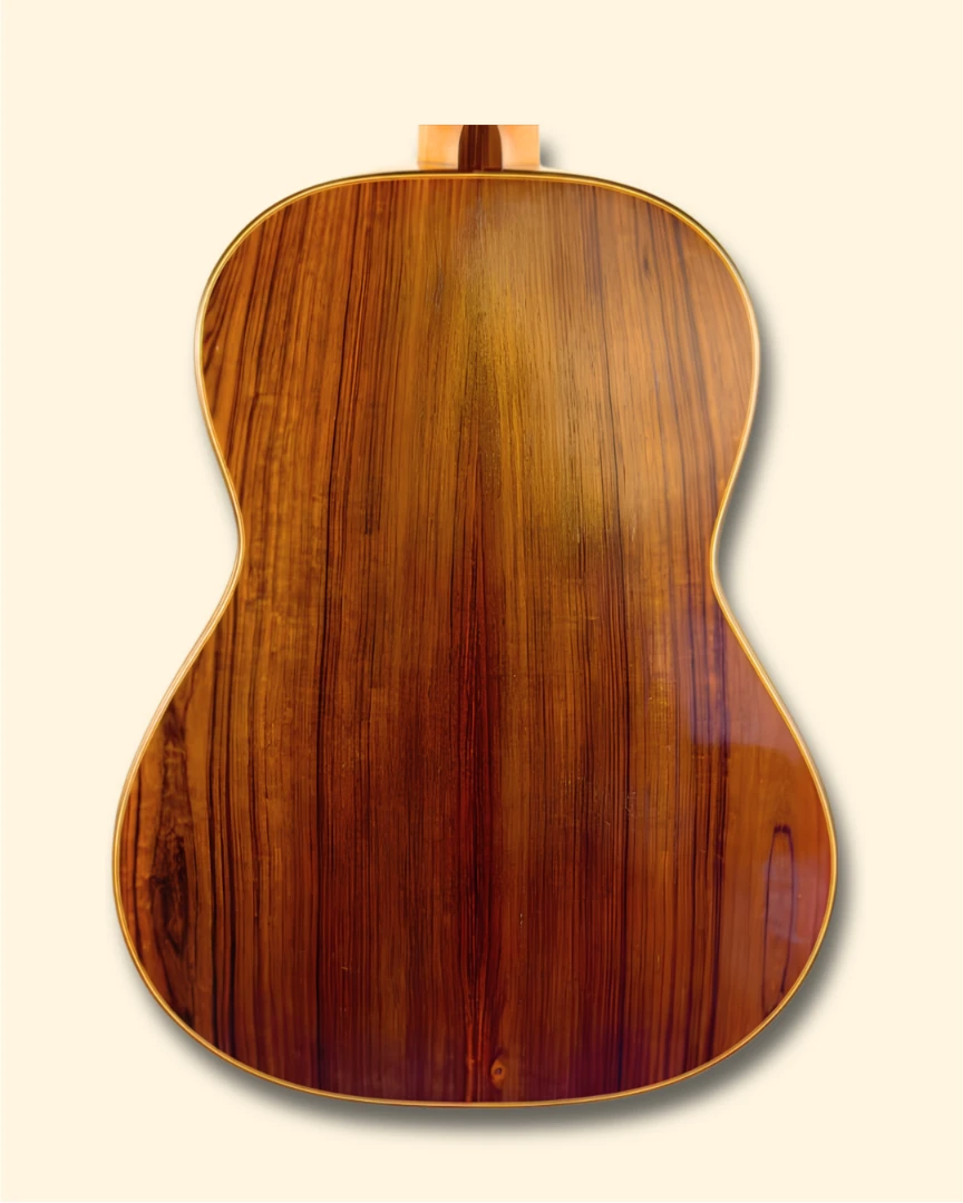 2016 Kenneth Hill back