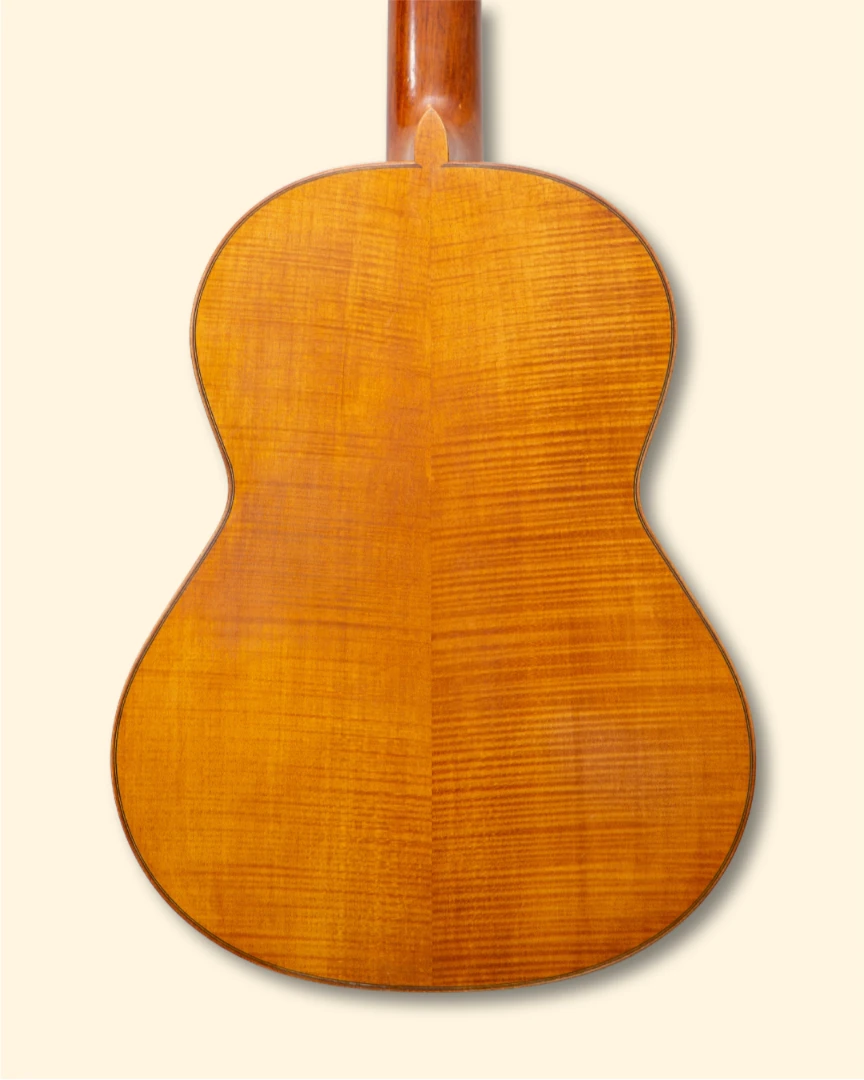 2008 A. Savastani back