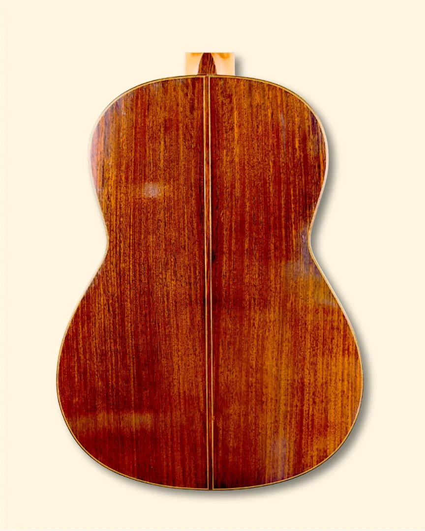 1994 Dominique Field back
