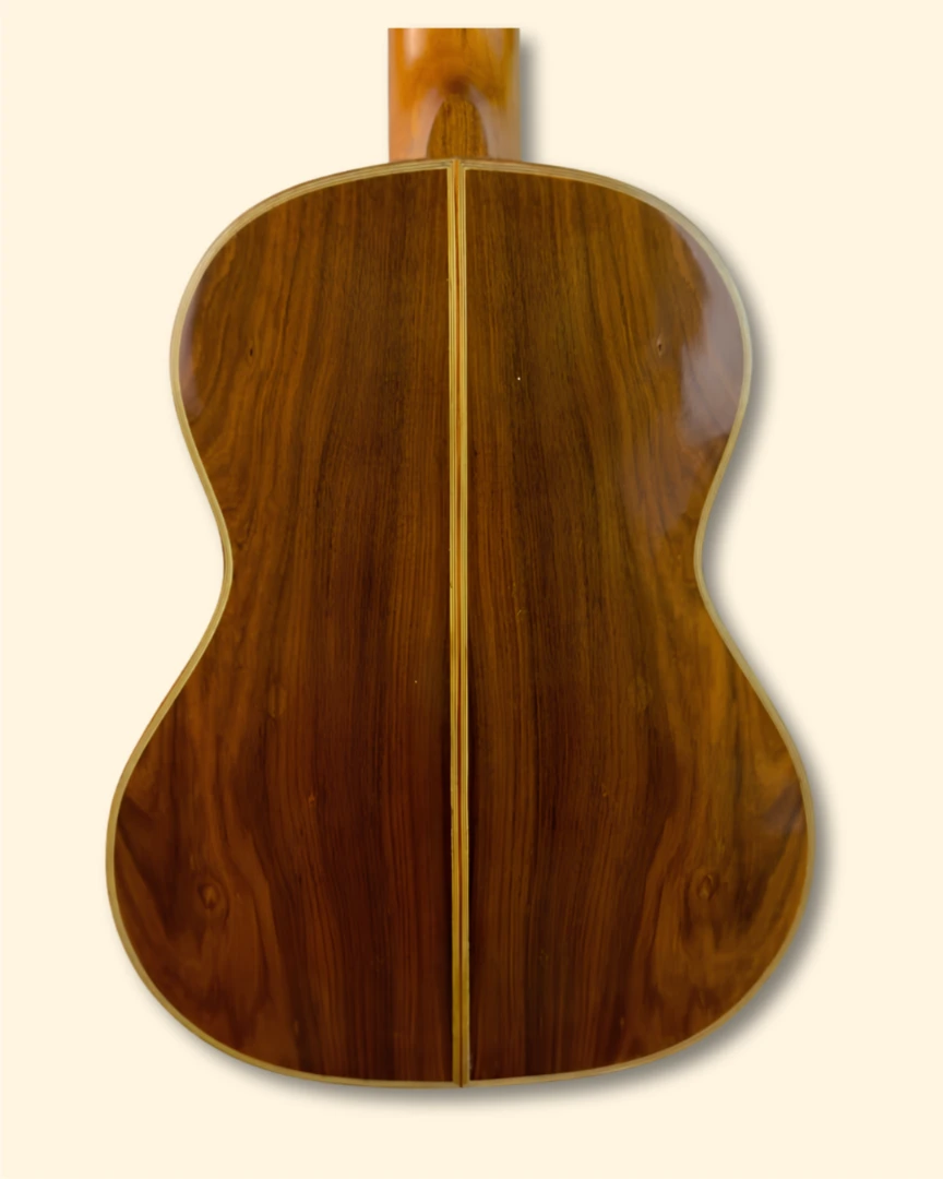 Giannini Serie Classica back