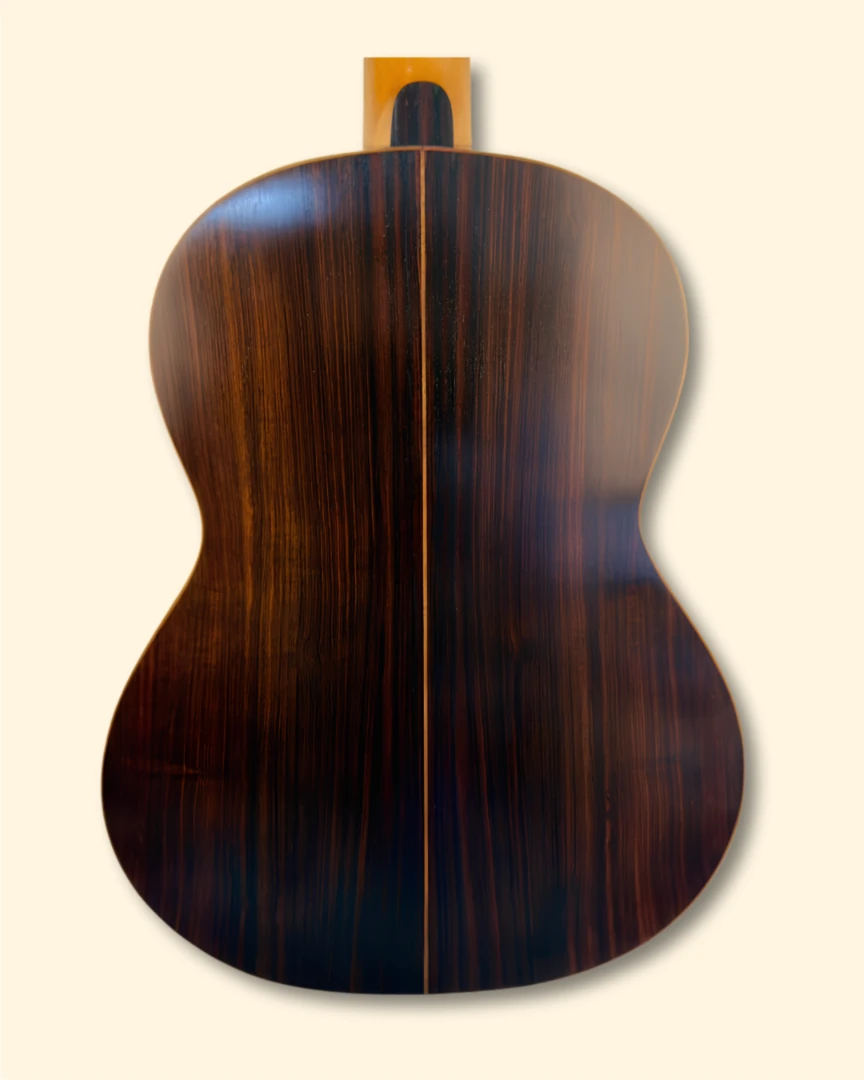 Joel Di Mauro No. 42 back