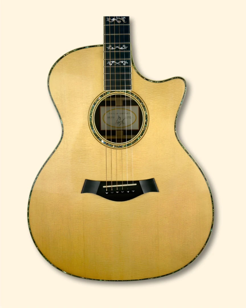 2009 Taylor XXXV-GA-BZ front