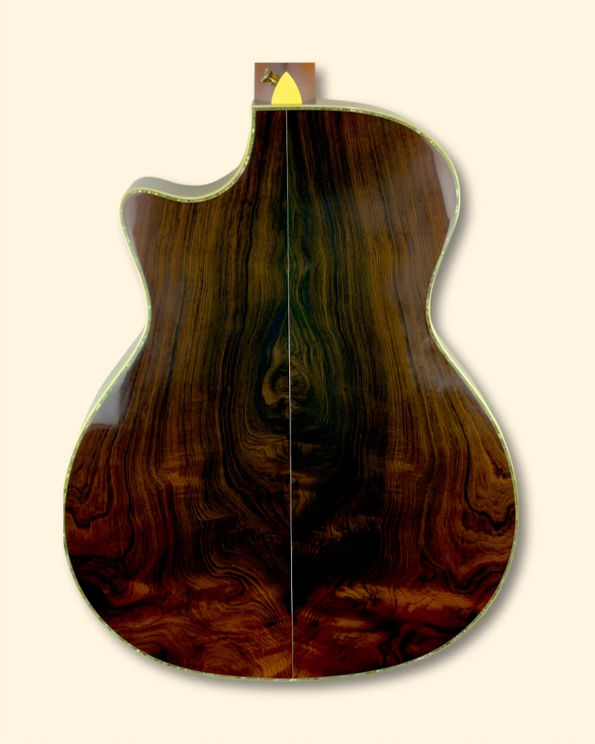 2009 Taylor XXXV-GA-BZ back