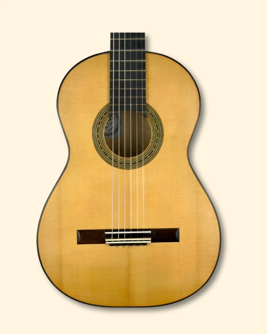2017 Steve Ganz Torres front