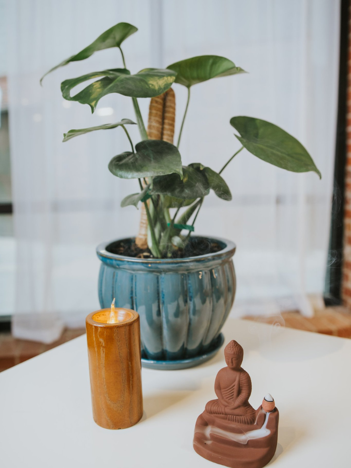 A peaceful space to breathe and reset