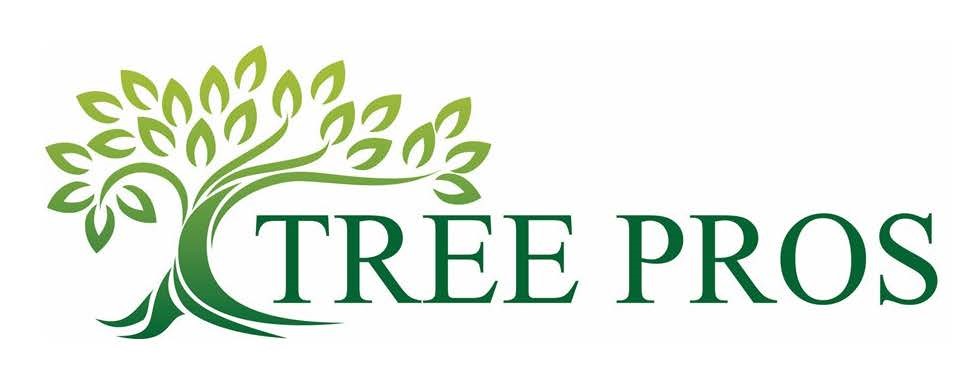 Tree Pros — Certified Arborists in Denver