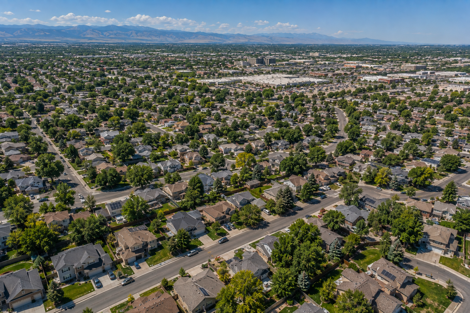 Tree Service in Thornton, CO