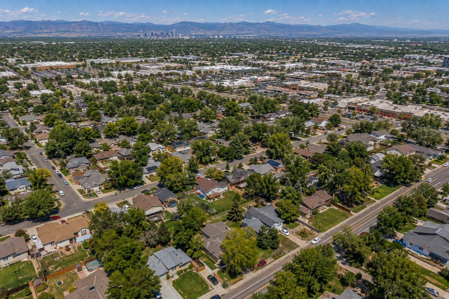 Tree Service in Wheat Ridge, CO
