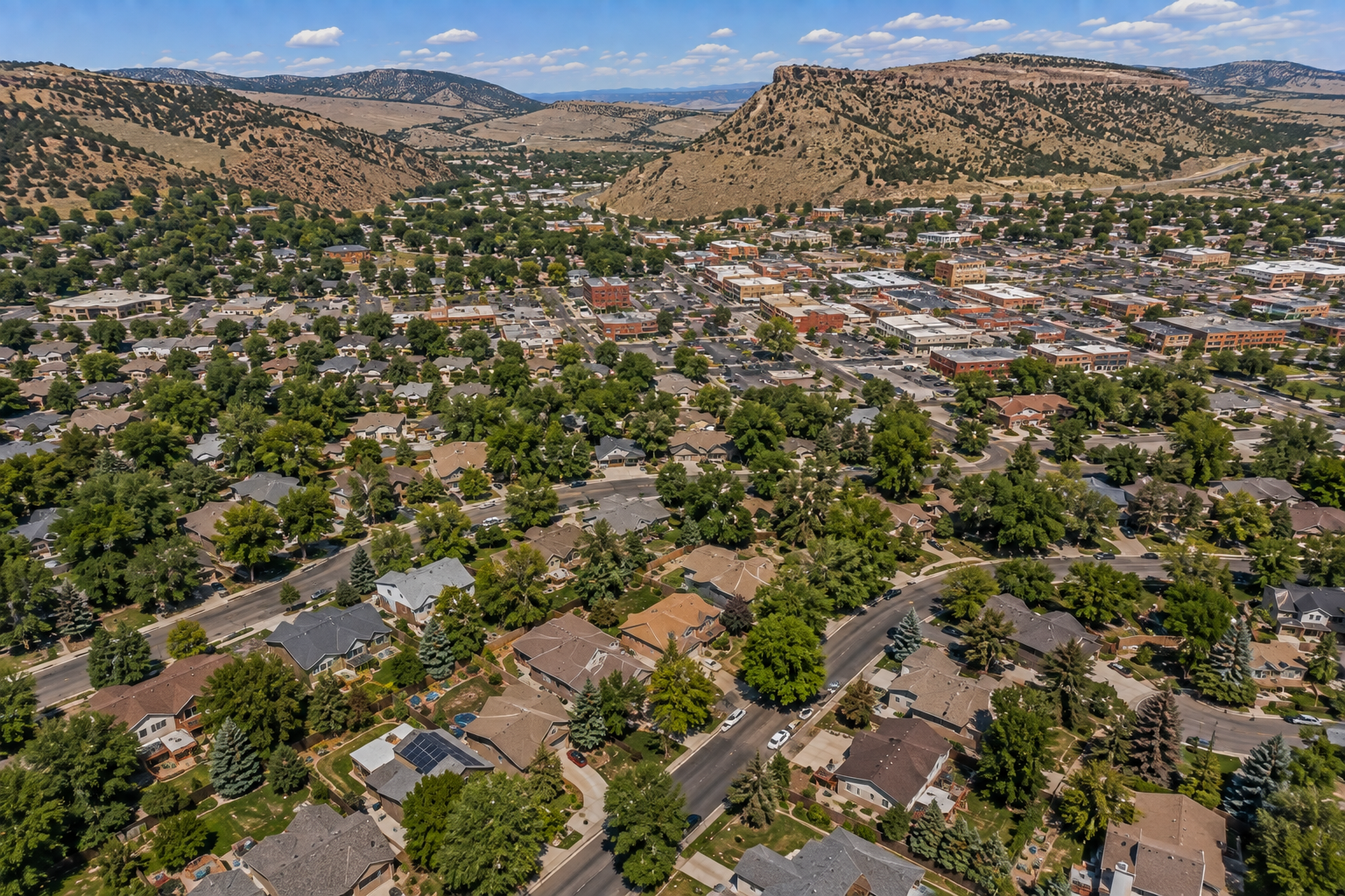 Tree Service in Morrison, CO
