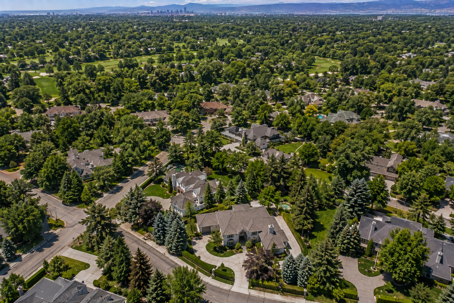Tree Service in Cherry Hills Village, CO