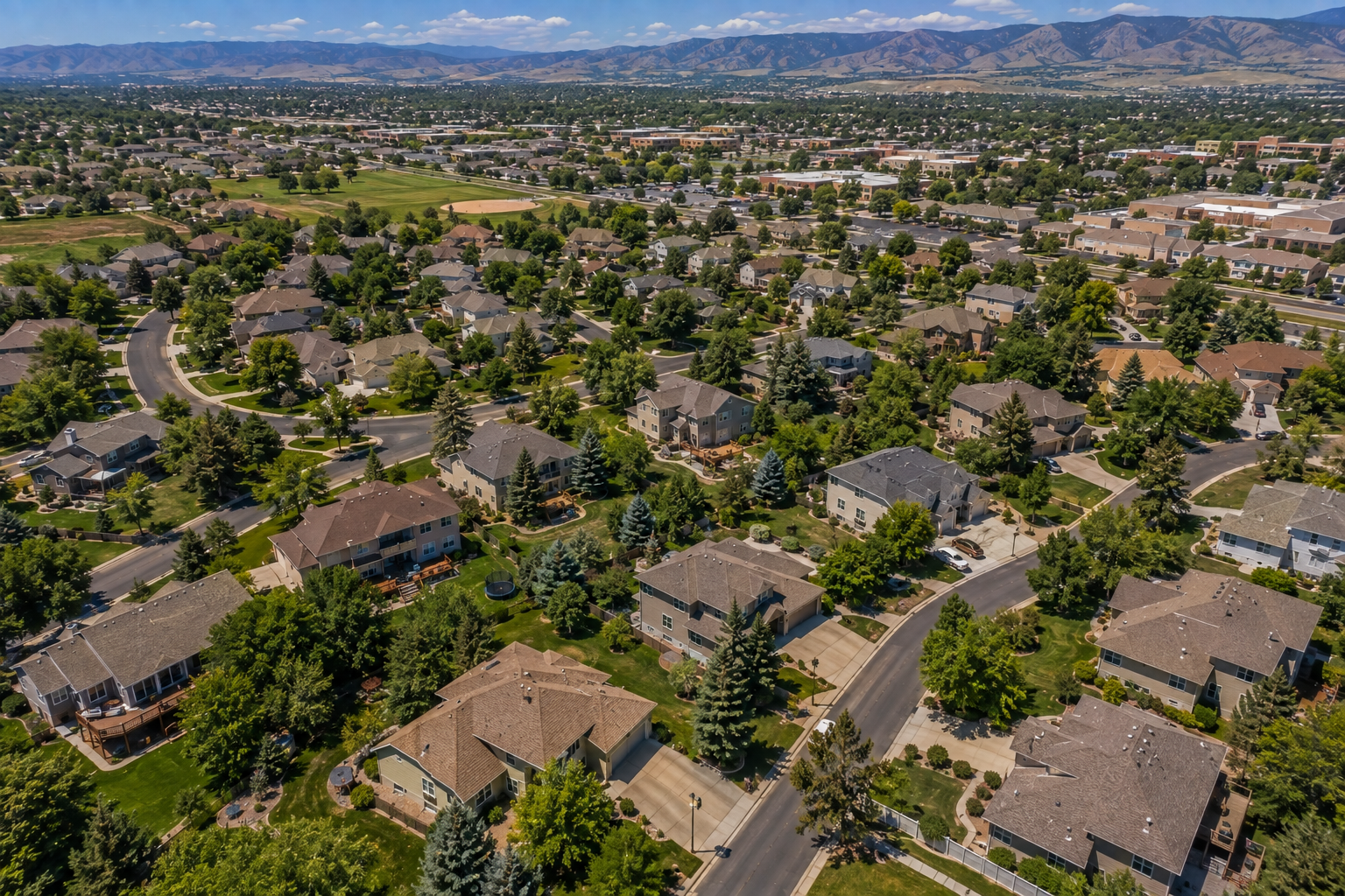 Tree Service in Highlands Ranch, CO