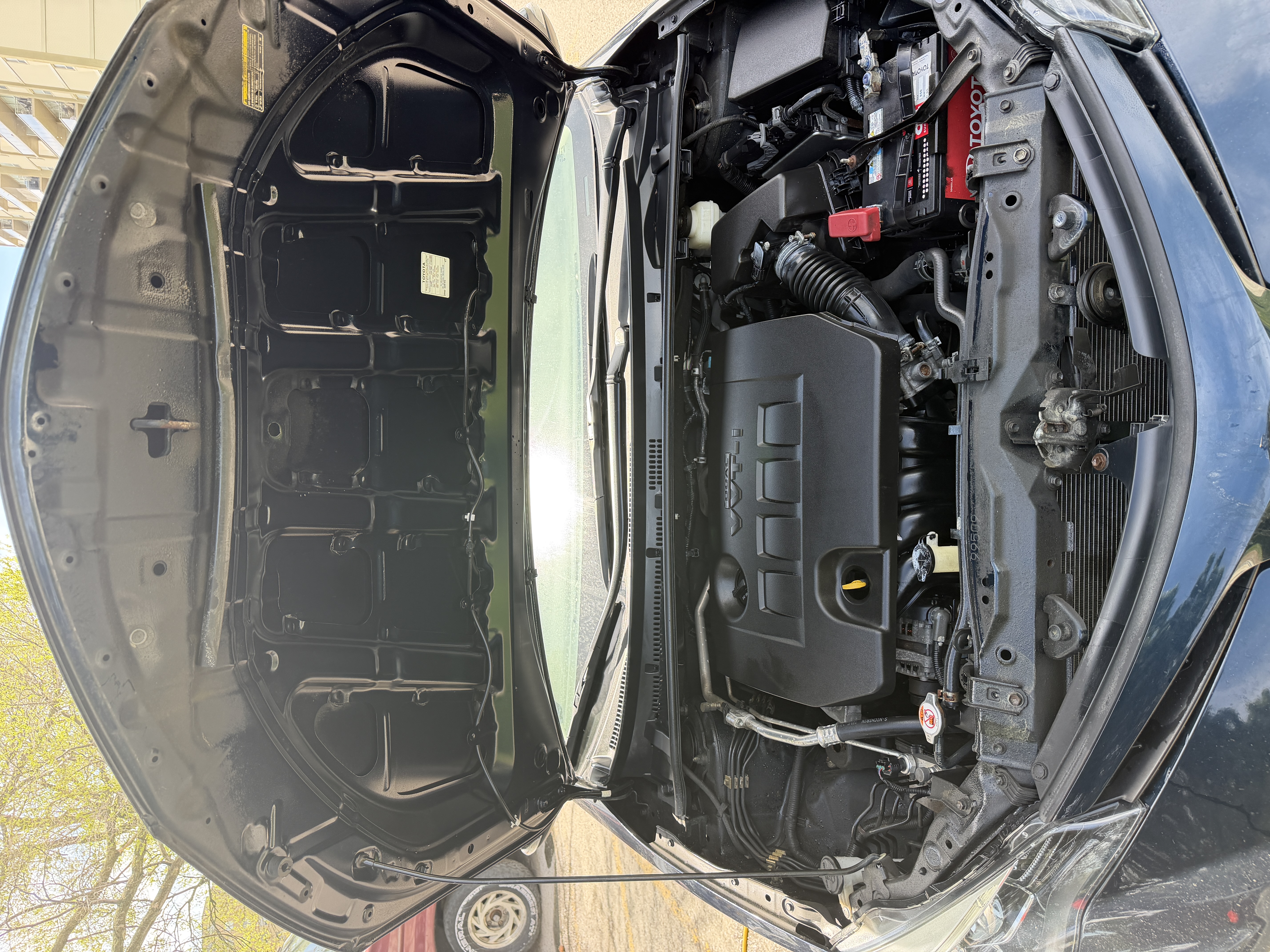 Clean degreased engine bay after professional detailing