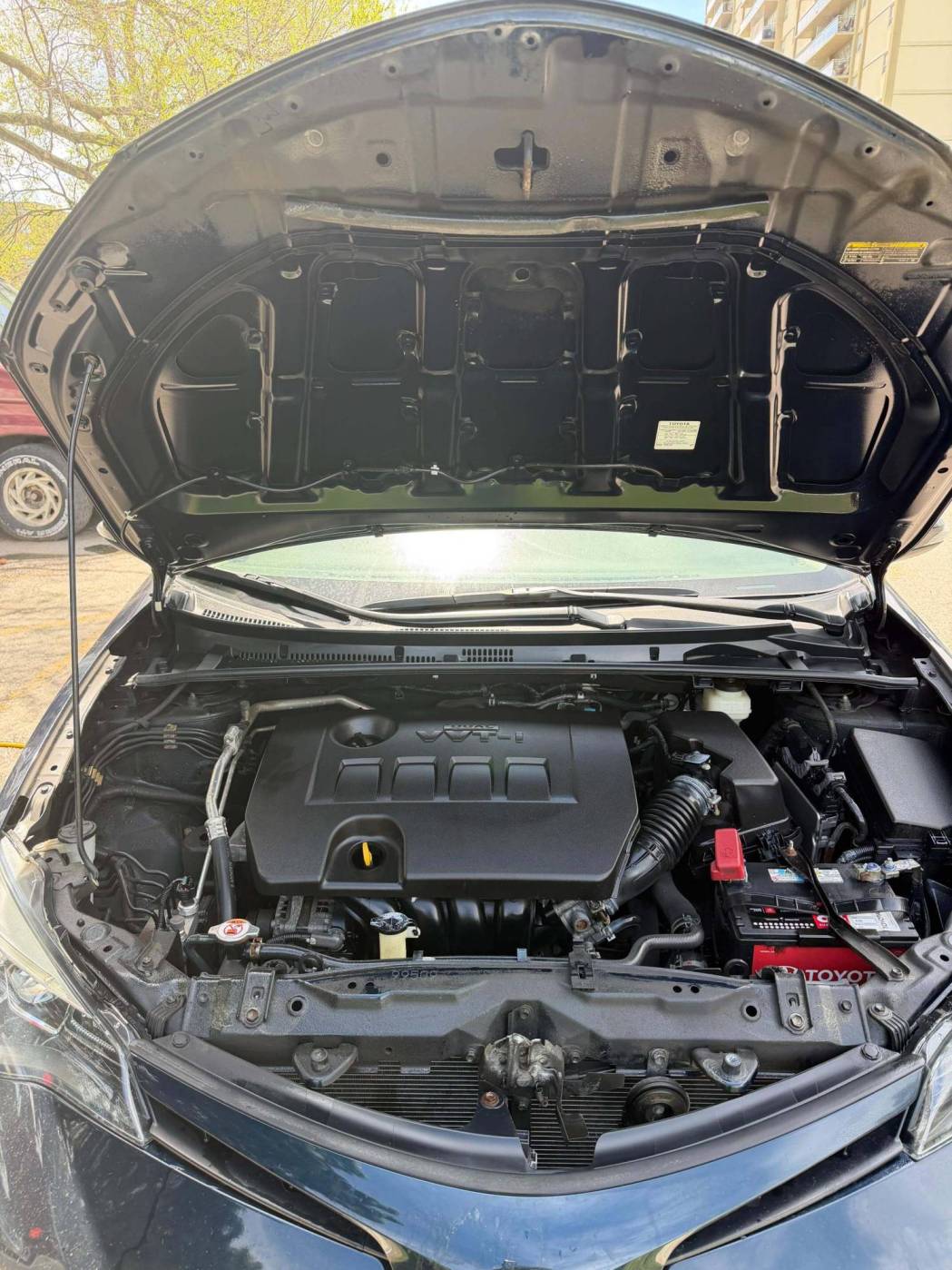 Clean degreased engine bay after professional detailing