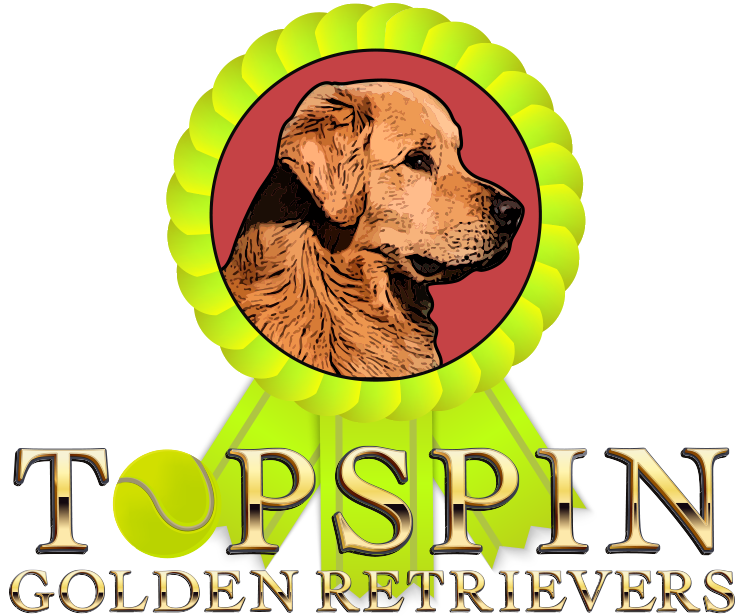 Kendra Johnson business logo