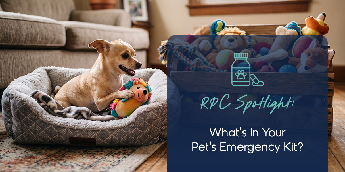 Revitalizing Pet Care Spotlight