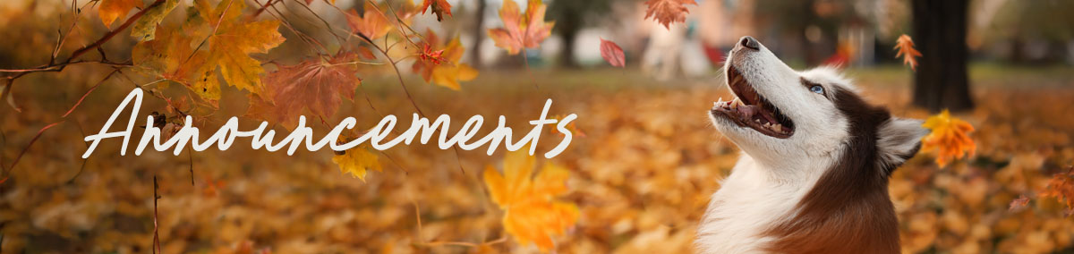 Announcements