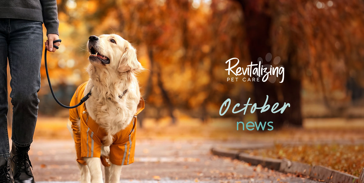 Revitalizing Pet Care