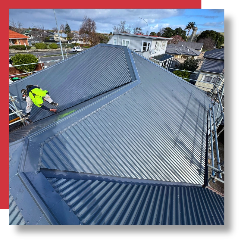 licensed roofing professionals providing services in napier and hastings