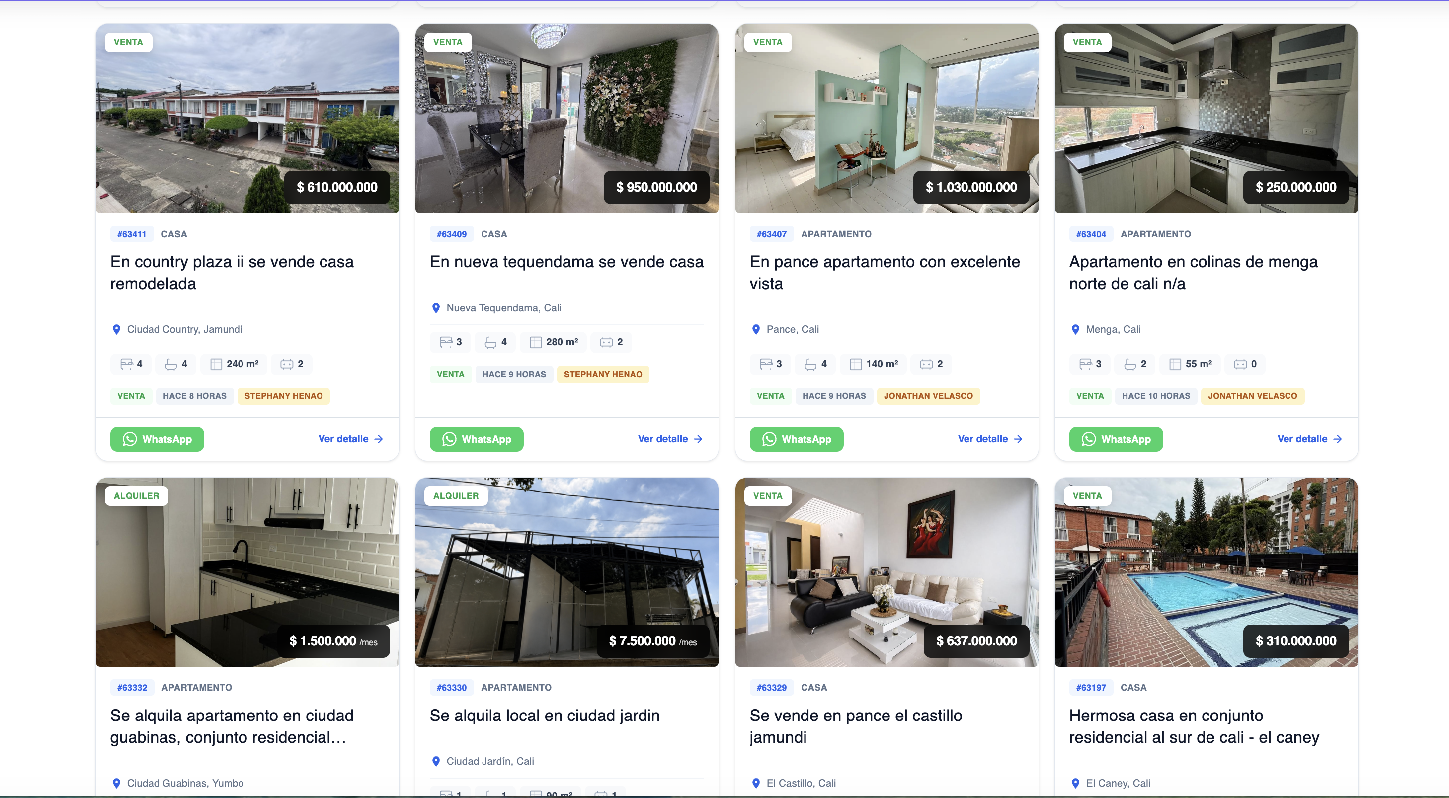 CRM RED - Sistema Inmobiliario Especializado