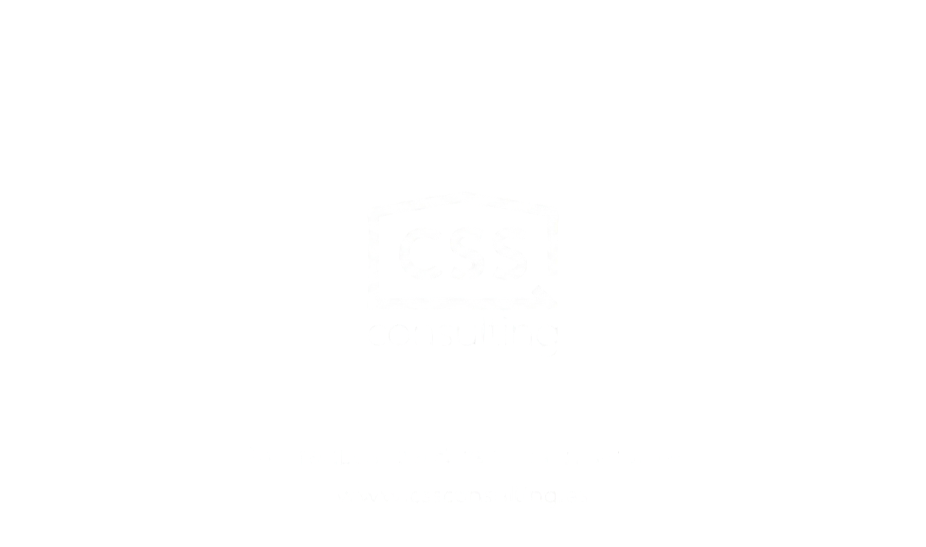 CSS Consulting