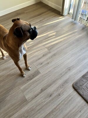 {{ custom_values.service_2 }} in {{custom_values.area_7})