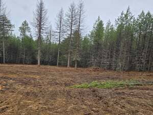  in Boundary County, ID