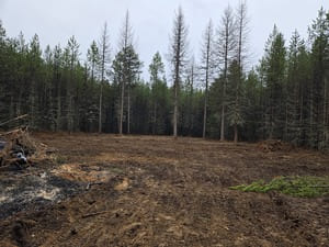  in Bonner County, ID