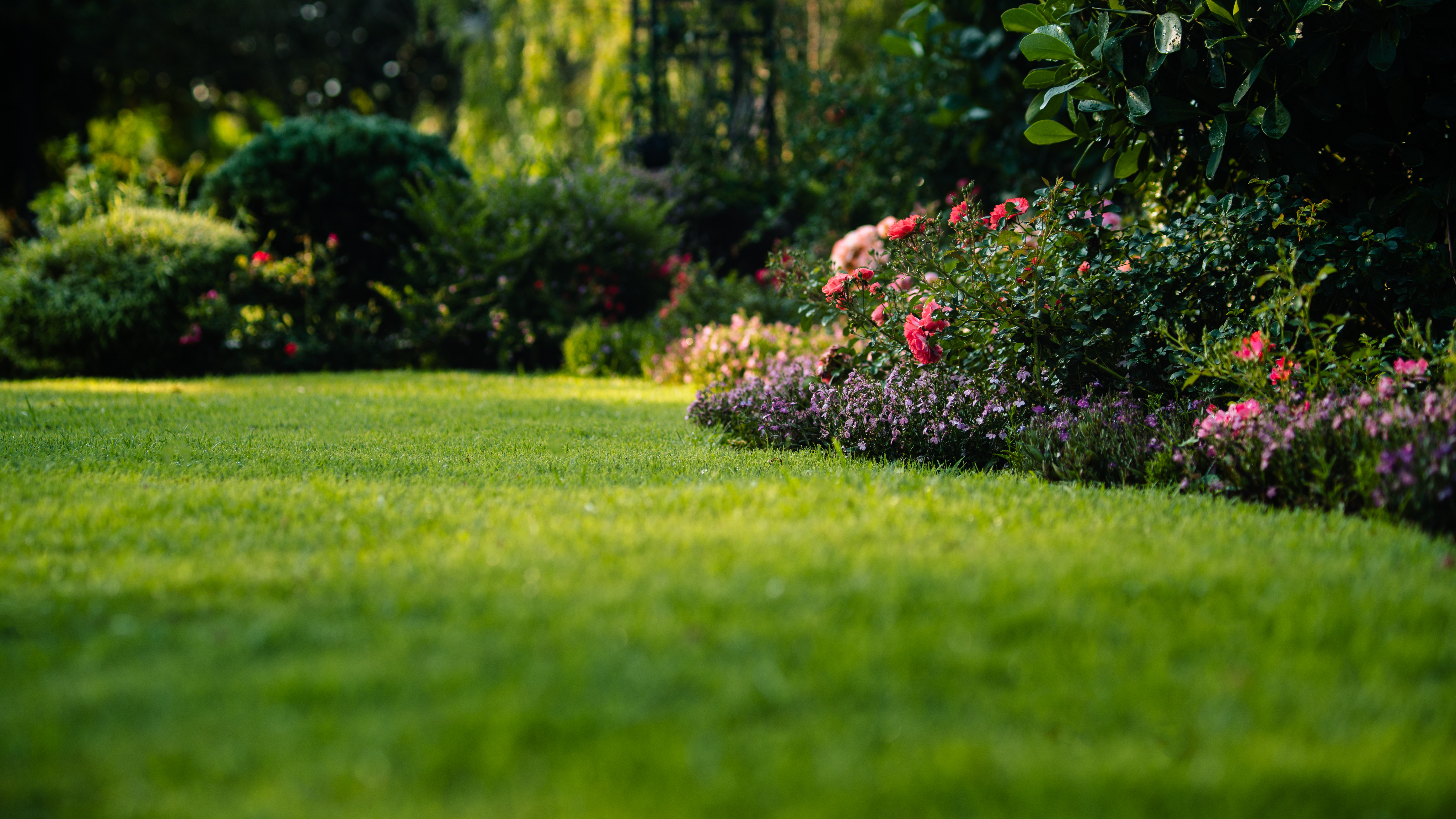 Spring planting ideas