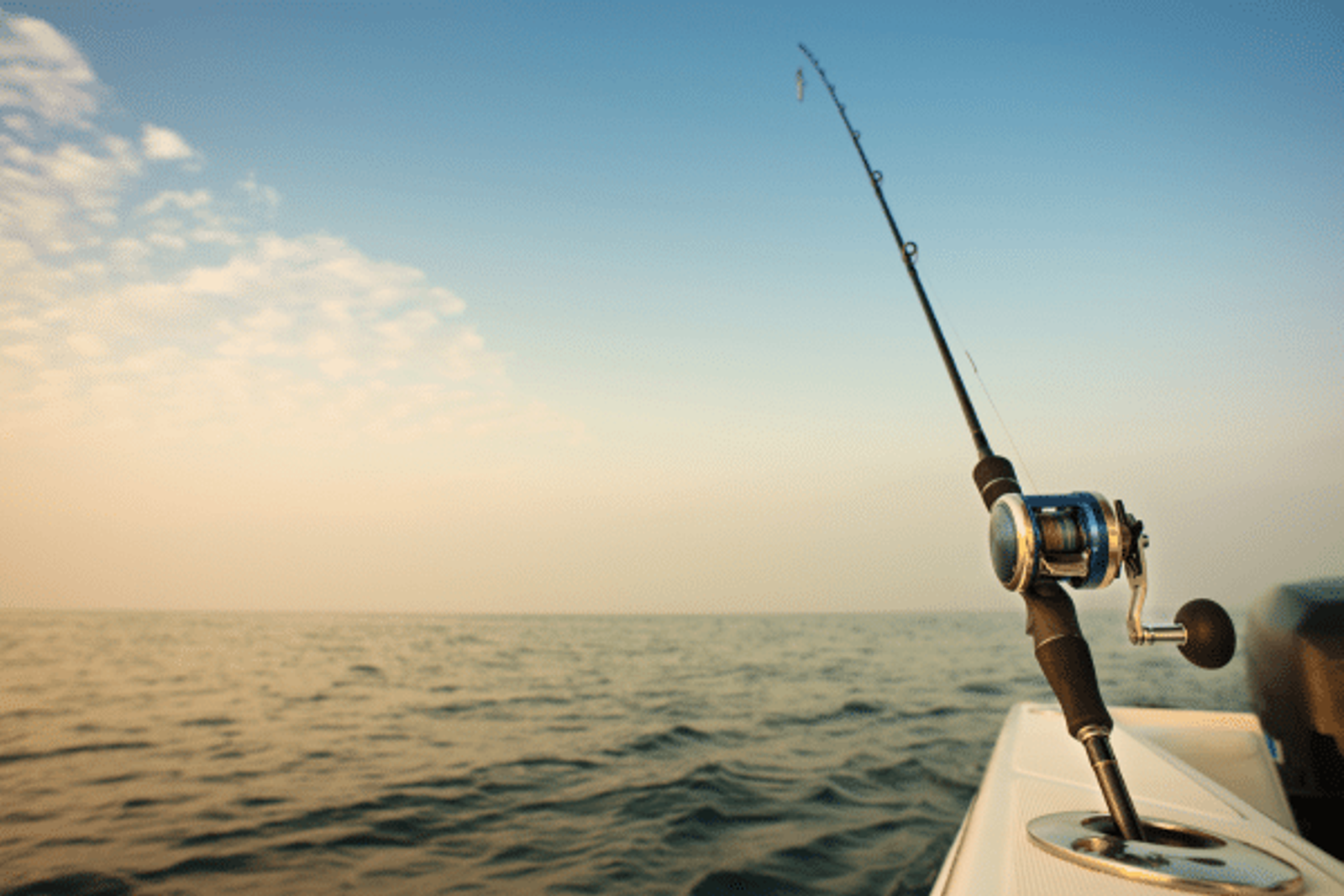 Reeling in Success: Email Marketing Tips for Fishing Charters